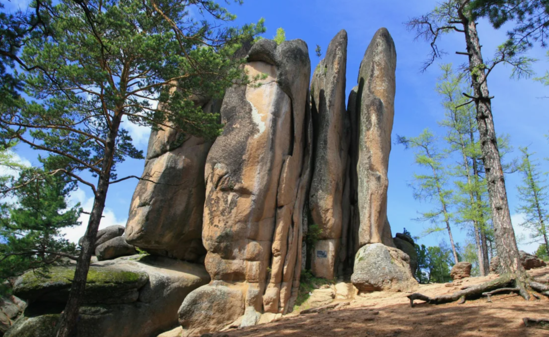 Звери