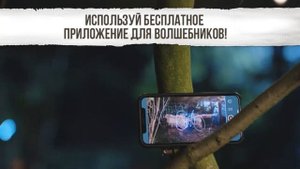 Волшебные палочки из мира Гарри Поттера!