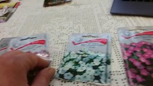 Петуния . СЕРИИ у петунии. Лучшие семена петунии. Как выбрать