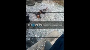 Крутой кувырок