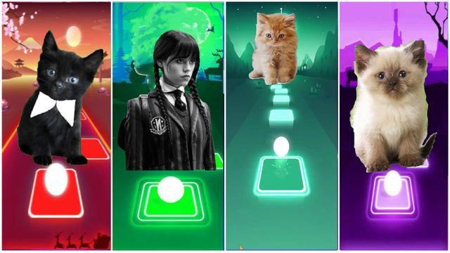 CUTE CATS WEDNESDAY LADY GAGA BLOODY MARY 🌟 BLACKPINK LISA MONEY 🌟 JISOO FLOWER1 смотреть онлайн