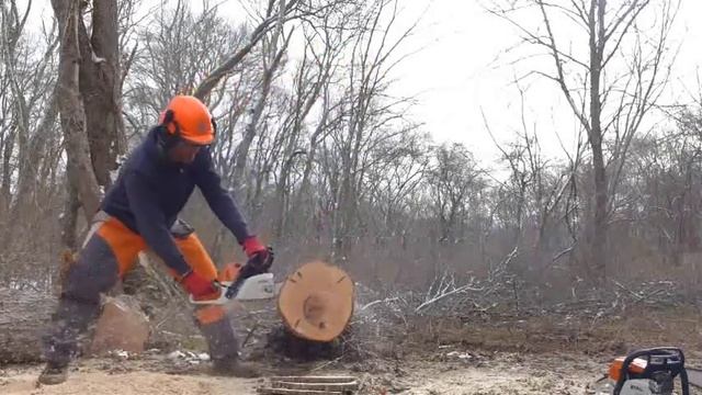 Stihl 362 vs 261 vs 241 смотреть онлайн