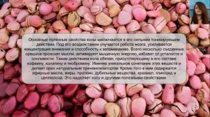 Польза Ореха Колы