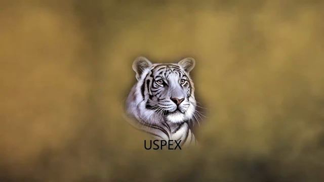 Баг в Вормиксе с Липучей гранатой! смотреть онлайн