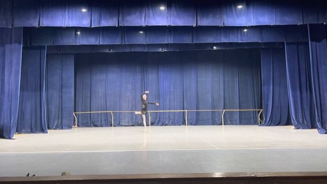 Вариация из балета "Лебединое озеро" Исполняет Васюк Мария. смотреть онлайн