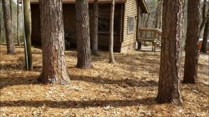 North Toledo Bend State Park | Louisiana State Parks | Best RV Destination in Louisiana!!