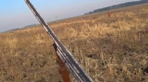 Охота на гуся "НОВАЯ НАРЕЗКА-2021", манок №1 Минск