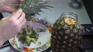 Как Вырастить Ананас ★★★ Как Укоренить Ананас, ★★★ Дома