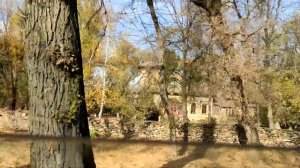 Усадьба Мсциховского, Луганская область, Селезневка