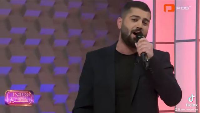 სანდრო კახიძე თოლიები  Sandro kakhidze Toliebi