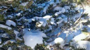 Troodos Mountains 2021|Snowy Troodos mountains cyprus|Winter2021|eesahvlog