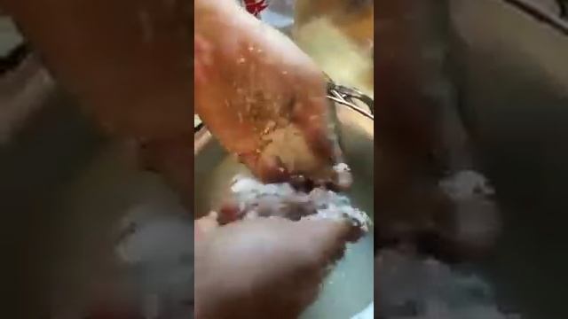 Рис сто пудов смотреть онлайн