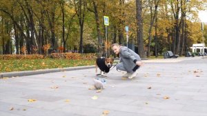 АМЕРИКАНСКИЙ СТАФФОРДШИРСКИЙ ТЕРЬЕР| все о породе| личный опыт владения породой АМ СТАФФ