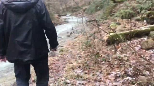 Источник с. Васильевка в Сочи