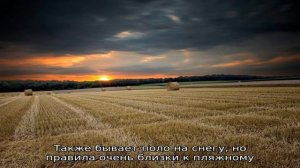 Как проходит игра в конное поло?