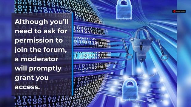 Dark Web Hacking Forums in 2022 смотреть онлайн