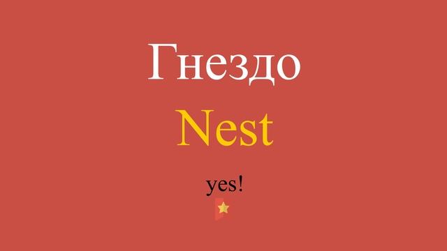 Гнездо по-английски