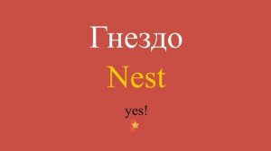 Гнездо по-английски