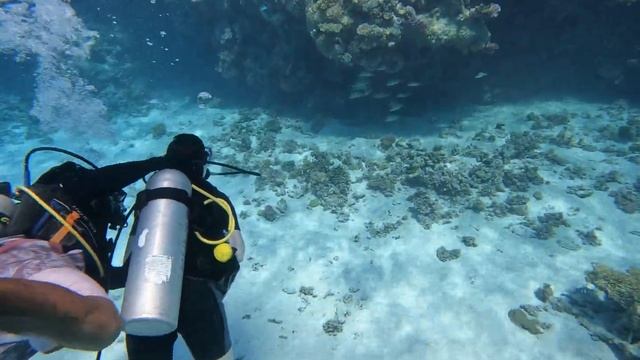 Египет Хургада Погружение с Sinaistar 7 видео смотреть онлайн