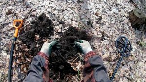 Весенний коп в весеннем лесу с Эквинокс 800 и Ванквиш 540!