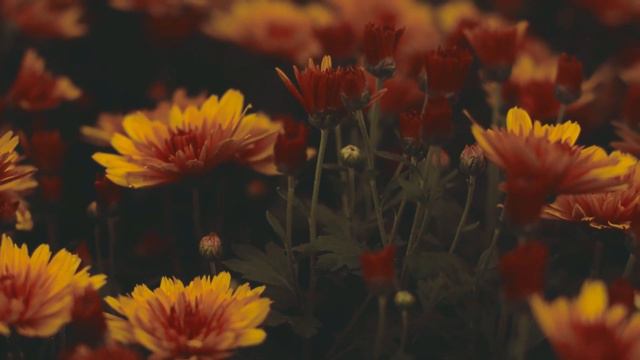 Красивая природа Земли