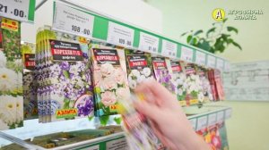 ЭУСТОМА. Выращивание эустомы из семян.