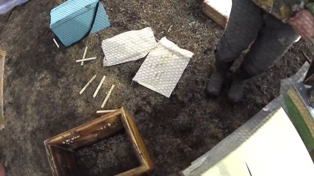 Пересаживаем в улей ППУ (пенополиуретан) смотреть онлайн