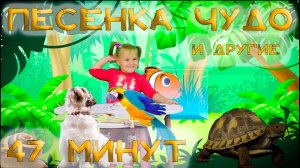 Песенки Маши - Песенка Чудо и лучшие песни Маши (Песни для детей)