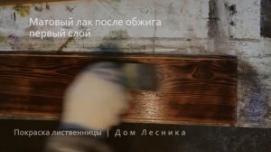 Покраска лиственницы. Масло. Лак. Рябина. Эбеновое дерево. Иней.