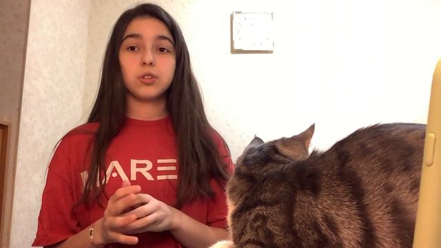 3 мира люди,животные и духовный мир смотреть онлайн