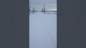 Зимняя рыбалка 4