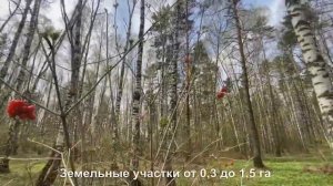 Земельный  участок в Журавлях. Лес, турбаза, река Томь. Продаём .