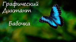Графический Диктант Бабочка