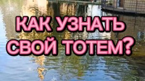 Как узнать свой Тотем?