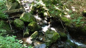 Журчание горной речки в лесу! Релакс