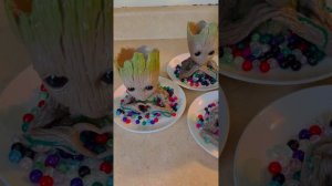 TILLANDSIA RED ABDITA || AIRPLANT🌱