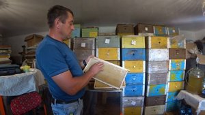 Сотовый мёд и центробежный, в чём разница?