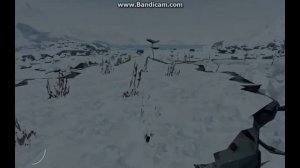 Shelter2Mountains Все опасности прекрасной игры