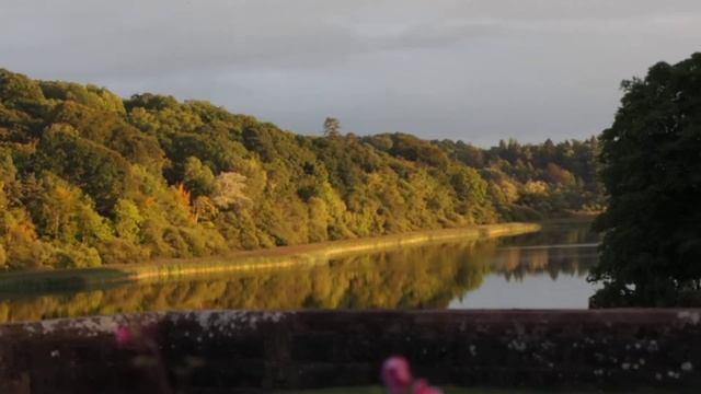 Olympus OM-D E-M1 - пример видеосъемки смотреть онлайн