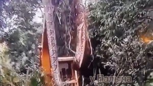 Гигантская Анаконда.