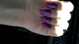 Nubar Polish in Action.avi