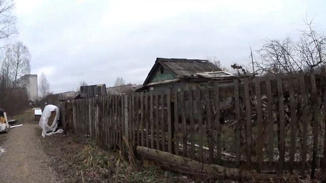 ВИДЕО ПРО СОБАК / ПРИЮТ ДЛЯ БЕЗДОМНЫХ ЖИВОТНЫХ / ДОБРЫЕ ДЕЛА смотреть онлайн