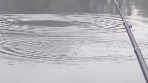 о.Боровское август 2024 поклёвка VID_20240802_052531 -