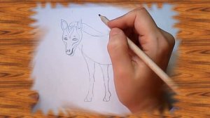 Рисуем ЗЕБРУ поэтапно  / Как по шагам рисовать животных