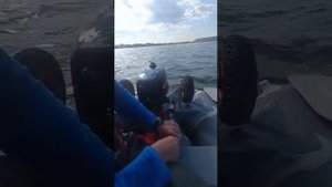 Инструкция по управлению лодочным мотором Гольфстрим 5 л.с.+ лодкой Гладиатор 280.