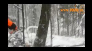 Валочный клин Stihl