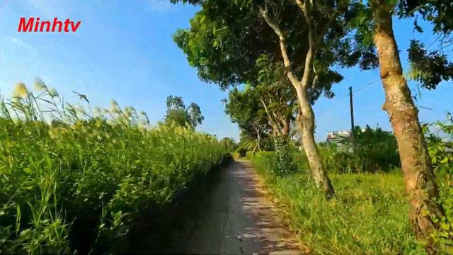 Ấp 9 Xã Tân Thạnh Thị Xã Gía Rai Tỉnh Bạc Liêu Trên Tuyến Đường Lộ Nông Thôn.