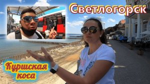 Россия✔ Калининград✔ Ласточка в Светлогорск✔  Красивые Пляжи✔ Куршская коса✔