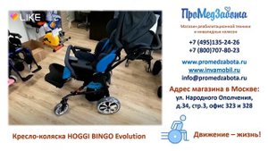 Кресло коляска HOGGI BINGO ХОГГИ БИНГО ЭВОЛЮШЕН для детей с ДЦП
