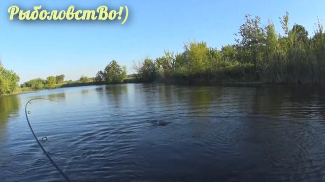 Щука-гигант для этой реки！Воблер обыграл силикон！ смотреть онлайн